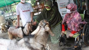 Daging Kurban untuk Penyandang Disabilitas