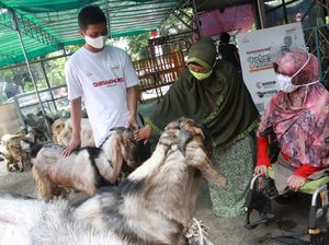 Daging Kurban untuk Penyandang Disabilitas