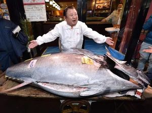 Ini 5 Ikan Paling Mahal di Dunia yang Jadi Makanan Mewah Ini 5 Ikan Paling Mahal di Dunia yang Jadi Makanan Mewah