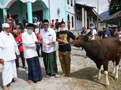 Wakil Ketua MPR Kurban 1 Ekor Sapi di Ruteng Flores