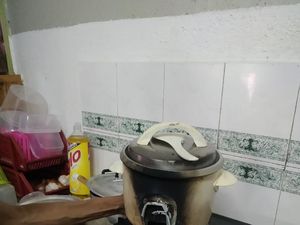 Viral Kakek 75 Tahun Masak Nasi Sendiri Sampai Rice Cooker Gosong!