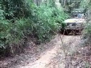 Kapolda Masuk Hutan Susuri Pinggiran Kalteng, Bagikan Beras ke Warga Kapolda Masuk Hutan Susuri Pinggiran Kalteng, Bagikan Beras ke Warga