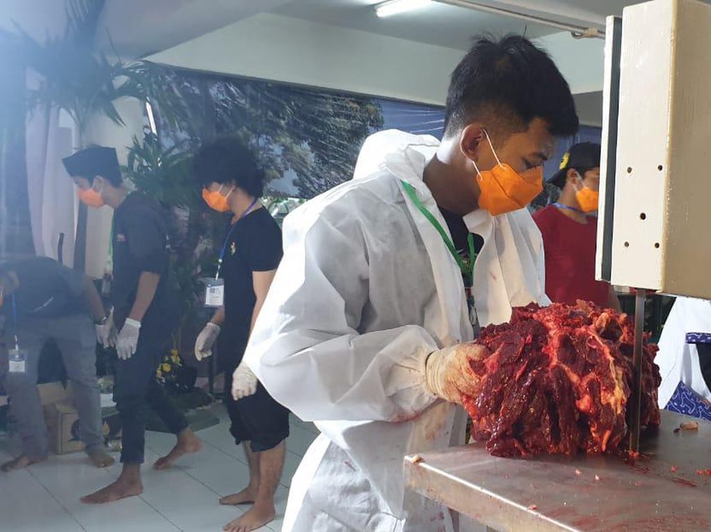 Tim Juleha Sembelih Sapi Kurban Jokowi di Masjid Al-Akbar, Total 84 Hewan Kurban Tim Juleha Sembelih Sapi Kurban Jokowi di Masjid Al-Akbar, Total 84 Hewan Kurban