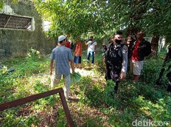 Dor! Polisi Tembak Kerbau Kurban yang Ngamuk Saat Akan Disembelih