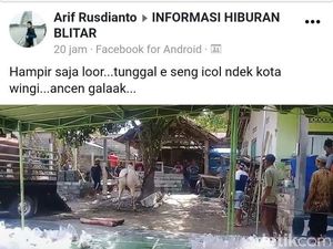 Lagi, Sapi Kurban di Blitar Kembali Mengamuk Saat akan Disembelih Lagi, Sapi Kurban di Blitar Kembali Mengamuk Saat akan Disembelih