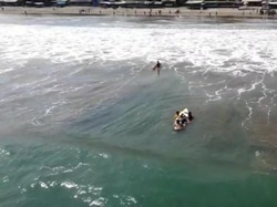 4 Wisatawan Nyaris Hilang Terseret Arus Pantai Citepus Sukabumi