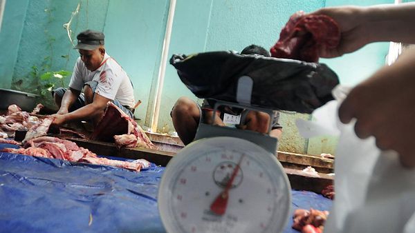 Berbagi Hewan Kurban untuk Sesama yang Membutuhkan