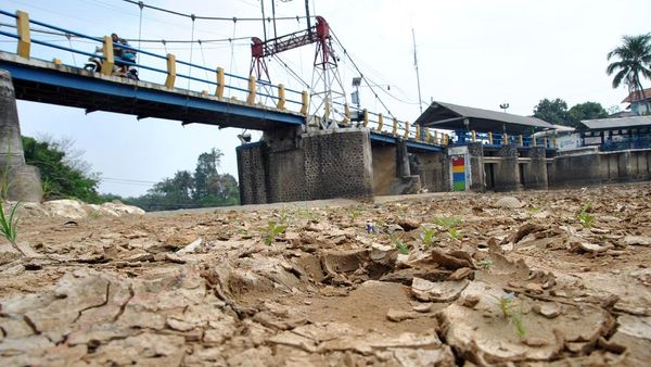 Musim Kemarau, Debit Air di Bendung Katulampa Menyusut