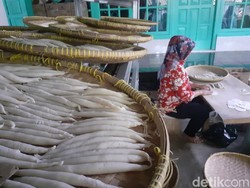 Mengintip Produksi Sotong Ciamis yang Gurih Renyah