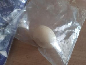 Ini Telur yang Dimasukkan Dukun Cabul ke Kemaluan Pasien