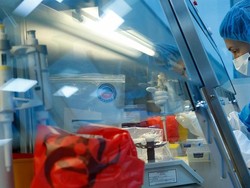 Rusia Siapkan Vaksinasi Massal Virus Corona pada Oktober