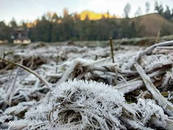 Viral di Medsos, Embun Es Muncul di Semeru