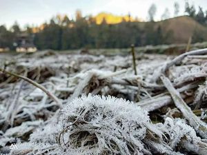 Viral di Medsos, Embun Es Muncul di Semeru Viral di Medsos, Embun Es Muncul di Semeru