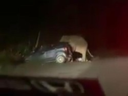 Seekor Gajah Ngamuk Injak Kap Mobil, Penumpang Kocar Kacir