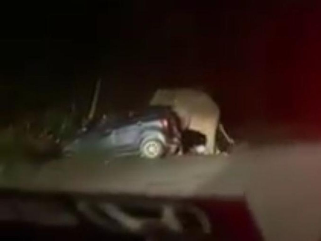 Seekor Gajah Ngamuk Injak Kap Mobil, Penumpang Kocar Kacir Seekor Gajah Ngamuk Injak Kap Mobil, Penumpang Kocar Kacir