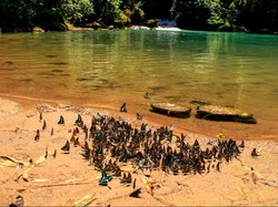 Geopark Nasional Maros Pangkep Diusulkan Masuk UNESCO