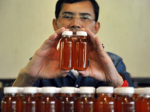 Ini Ramuan Herbal yang Diklaim Hadi Pranoto Bisa Cegah Corona
