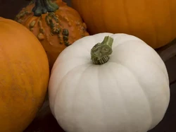 5 Sayuran dan Buah Albino, Dianggap Catat Tetapi Mahal Harganya