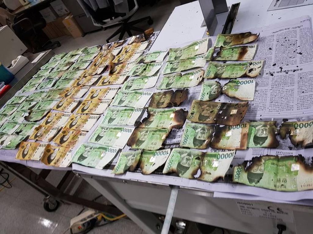 Warga Korsel Sterilkan Uang Kertas di Microwave dan Inilah yang Terjadi Warga Korsel Sterilkan Uang Kertas di Microwave dan Inilah yang Terjadi
