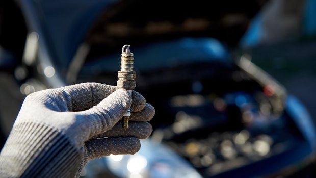 spark plugs