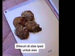 Viral iPad Jadi Piring Makan, Dokter: Bisa Lebih Jorok dari Dudukan WC Viral iPad Jadi Piring Makan, Dokter: Bisa Lebih Jorok dari Dudukan WC