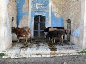 Potret Masjid Bersejarah yang Jadi Kandang Ternak