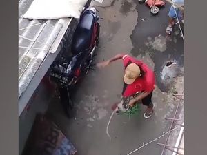 Duh! Pawang Aniaya Monyet di Jaktim, Satpol PP Turun Tangan Duh! Pawang Aniaya Monyet di Jaktim, Satpol PP Turun Tangan