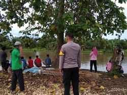 Pencarian IRT yang Diterkam Buaya di Mamuju Tengah