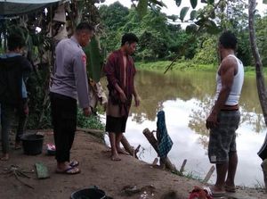 Wanita di Mamuju Tengah Hilang Diterkam Buaya Saat Buang Air di Sungai Wanita di Mamuju Tengah Hilang Diterkam Buaya Saat Buang Air di Sungai