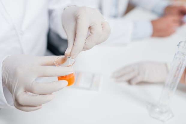 Orange/Freepik.com orange