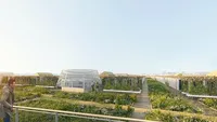 Kebun Seluas 2 Lapangan Bola di Atap Kota Paris