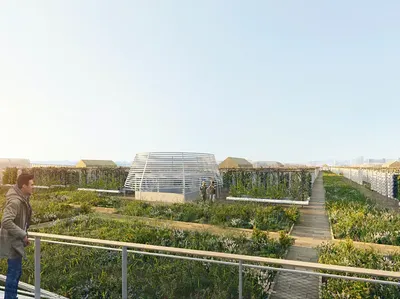 Kebun Seluas 2 Lapangan Bola di Atap Kota Paris