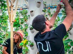 Keren! Paris Punya Kebun Seluas 2 Lapangan Bola di Atap Gedung