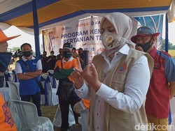 Bupati Jember Sebut Salah Ketik di SK Kenaikan Pangkat PNS Bisa Diperbaiki