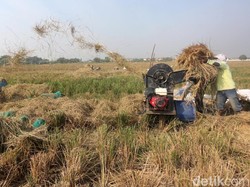 Ekonomi Indonesia Minus, PDB Sektor Pertanian Masih Positif