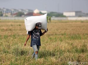 Daya Tahan Pertanian dan Kesejahteraan Semu Petani