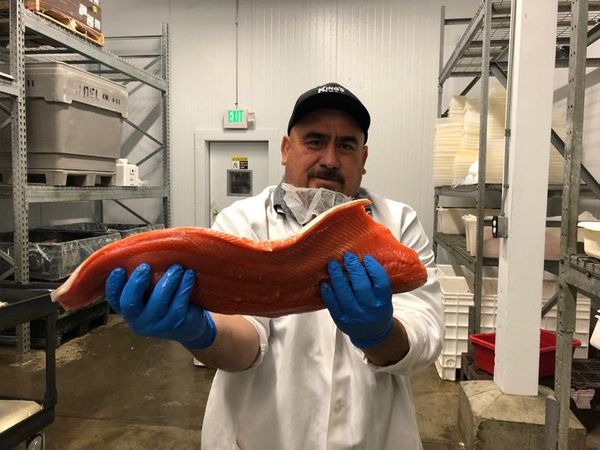 Keren! Perusahaan Ini Produksi Seafood Segar yang Ramah Lingkungan