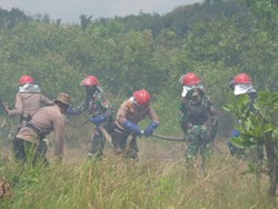 Siaga Tangani Karhutla, Polda Kalsel-TNI Gelar Simulasi Pemadaman
