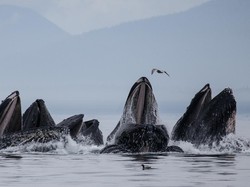 6 Tempat Main Kayak Paling Epik di Dunia