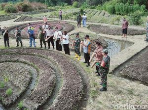 Sejarah Crop Circle yang Diyakini Buatan Alien