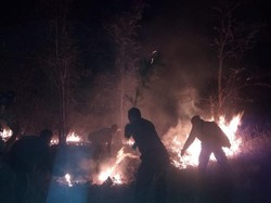 Hutan Baluran di Situbondo Terbakar