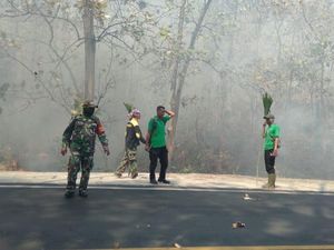 Hutan Baluran Terbakar, Polisi Ancam Tindak Tegas Pelaku
