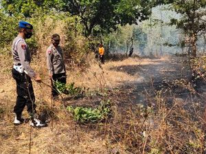 Hutan Baluran Situbondo Kembali Terbakar