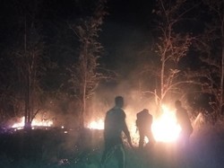 Puntung Rokok Diduga Jadi Penyebab Hutan Baluran di Situbondo Terbakar