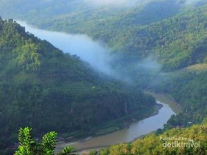 Tiket Kebun Buah Mangunan Jogja Naik