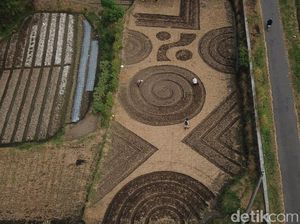 Cantik, Ada Crop Circle Bermotif Batik Warna-warni di Klaten!
