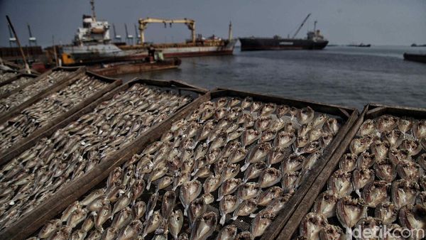 Nestapa Nelayan di Tengah Pandemi Corona