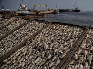 Nestapa Nelayan di Tengah Pandemi Corona