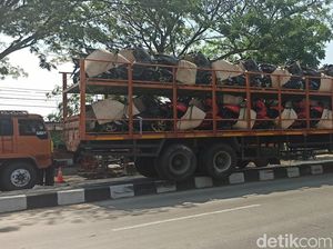 Ada Truk Muatan Motor Nyangkut di Atas Median Jalan Pantura, Kok Bisa?