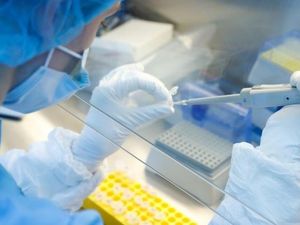 CDC AS Desak Vaksin Corona Harus Siap Didistribusikan 1 November CDC AS Desak Vaksin Corona Harus Siap Didistribusikan 1 November